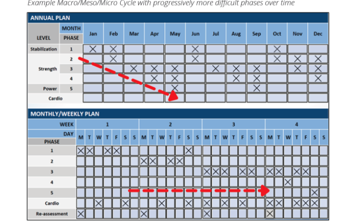 Example Macro Meso Micro Cycle with Progressively More Difficult Phases Over Time